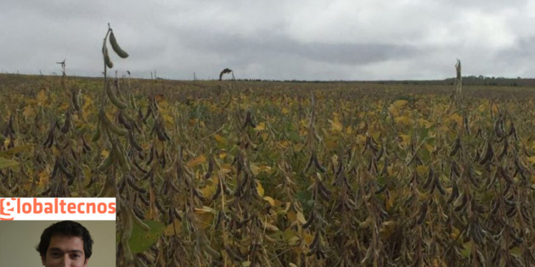 Estrategias para vender “la gruesa”