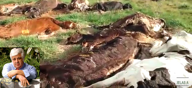 De Blanqueos y negreos