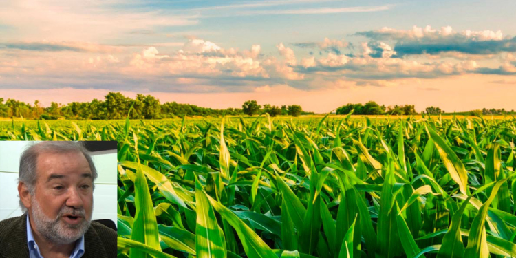 Números ajustados en arrendamientos