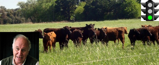 Luces verdes para la ganadería