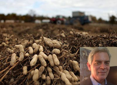 Buenos números para el maní