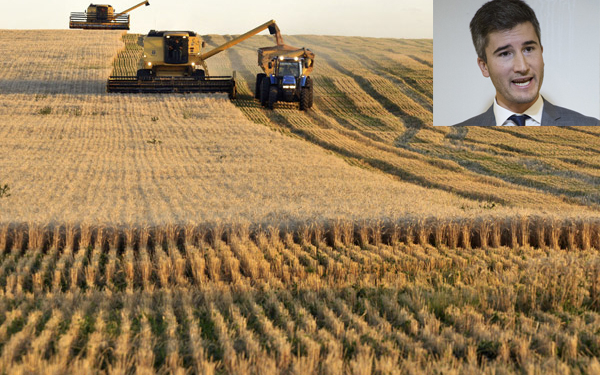 Más trigo argentino