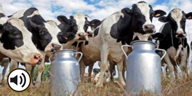 Una cadena desencadenada