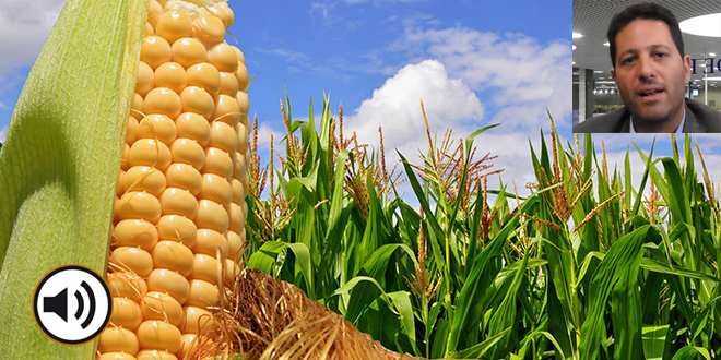 Buenos rindes, pero no los soñados