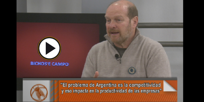 El análisis de los Bichos en la mesa de Rivadavia