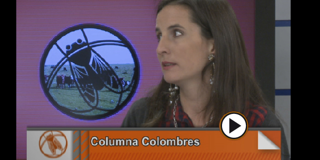 Grobo: “Vivimos de la misma tecnología de hace 20 años”