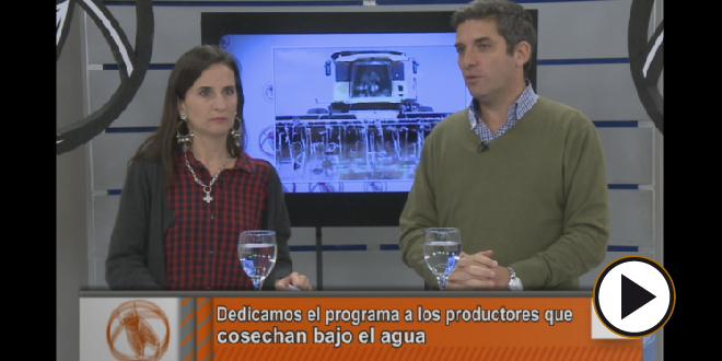 Grobo: “Vivimos de la misma tecnología de hace 20 años”