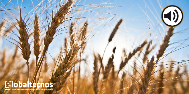 Grobo: “Vivimos de la misma tecnología de hace 20 años”