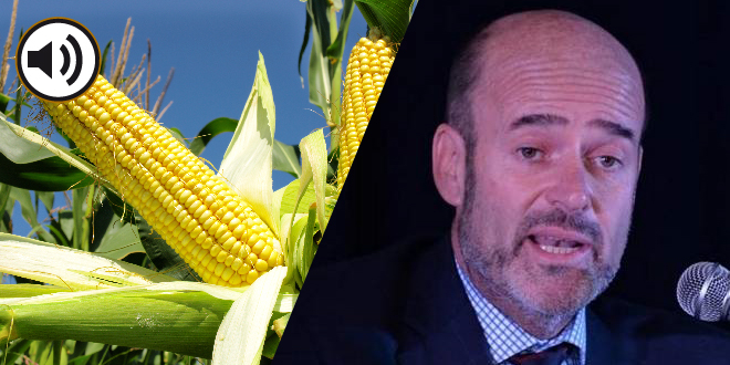 Un bicherío en tono político