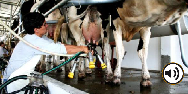 Un bicherío en tono político