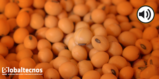 Un bicherío en tono político