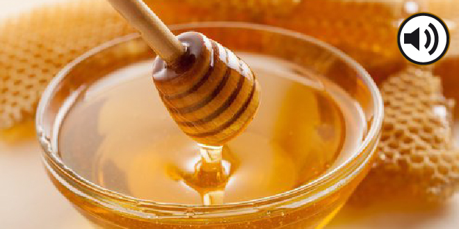 Un bicherío en tono político