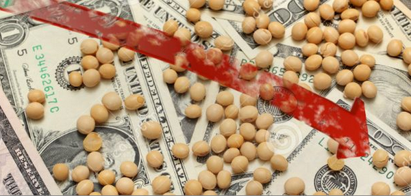 Alerta amarilla en el mercado agrícola