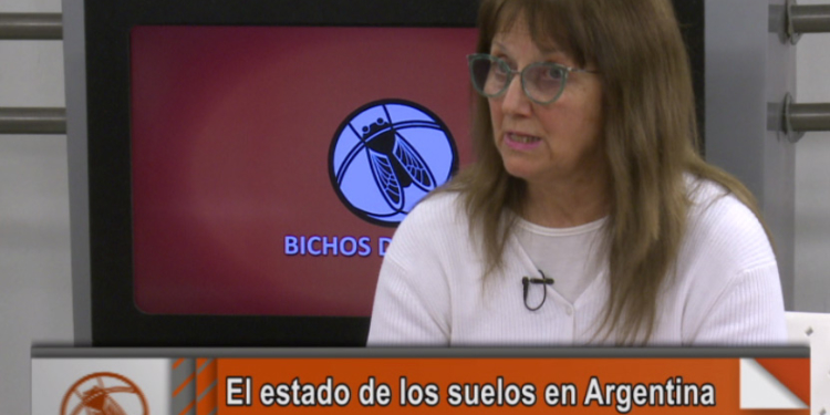 La fiesta siempre la termina pagando el suelo