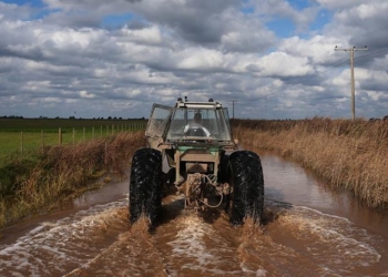 ¿Cómo funcionará el seguro agrícola multirriesgo que preparan en Agroindustria?