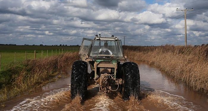 ¿Cómo funcionará el seguro agrícola multirriesgo que preparan en Agroindustria?