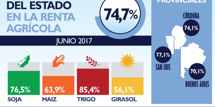 Una pregunta a David Miazzo: ¿por qué crece la presión fiscal sobre el agro?