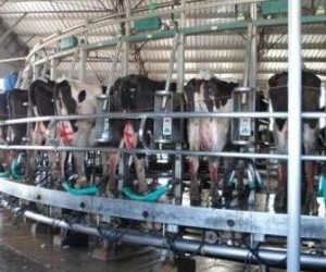 La consignataria de leche y Elida que vuelve a escribir