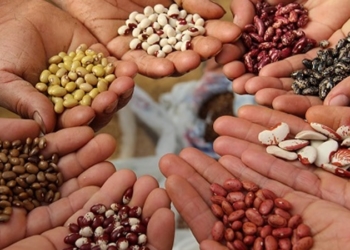 Solmi: “El sistema de control de la Intacta nos cuesta un dineral”