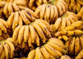 El día de la banana: para protestar regalarán 5.000 kilos en Formosa