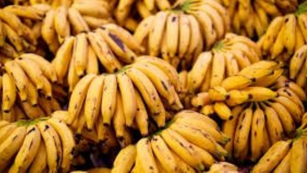 El día de la banana: para protestar regalarán 5.000 kilos en Formosa