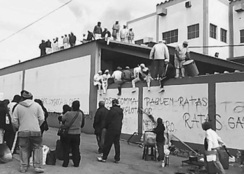 Otro frigorífico suspendido por “prestar” la matrícula