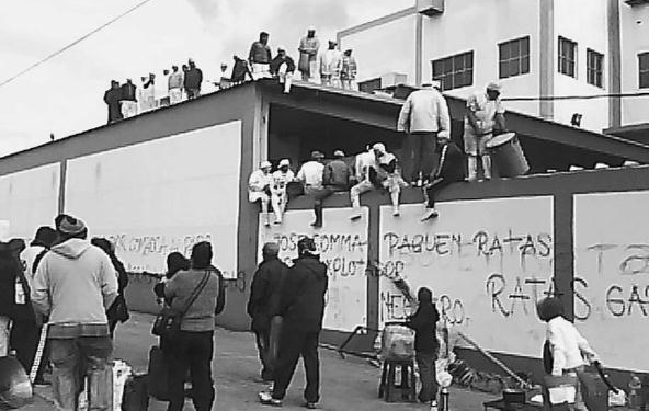 Otro frigorífico suspendido por “prestar” la matrícula