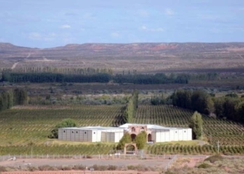Los chinos se acercan también al sector bodeguero