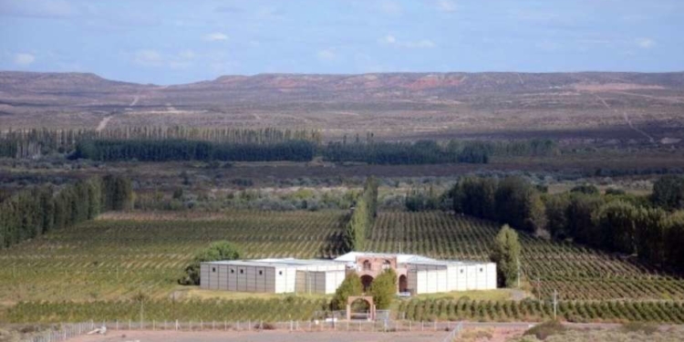 Los chinos se acercan también al sector bodeguero