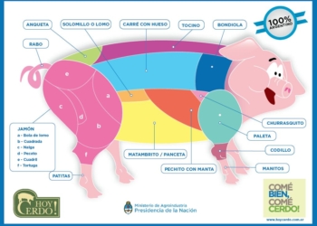Exportaciones porcinas: después de Rusia, se viene Vietnam