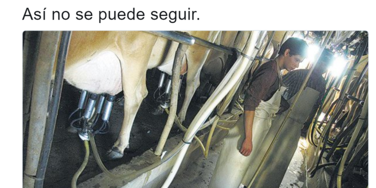 La crisis de la lechería en los diez tuits de Cristina