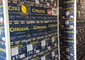 El Gobierno celebra el primer envío de cítricos a Brasil