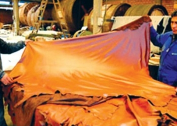 Mi cuero no vale: las curtiembres lo pagan a 25% del valor internacional