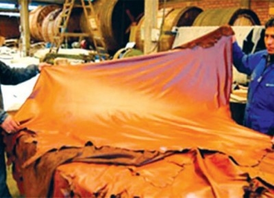 Mi cuero no vale: las curtiembres lo pagan a 25% del valor internacional