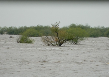 Apurate José, que ya está viniendo la creciente otra vez…