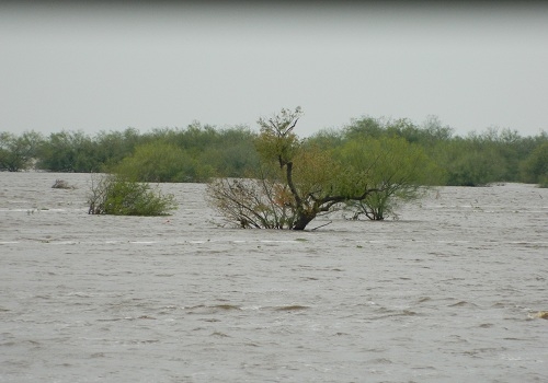 Apurate José, que ya está viniendo la creciente otra vez…
