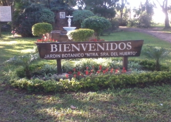 El Senasa se la toma en serio: quema cítricos de un botánico