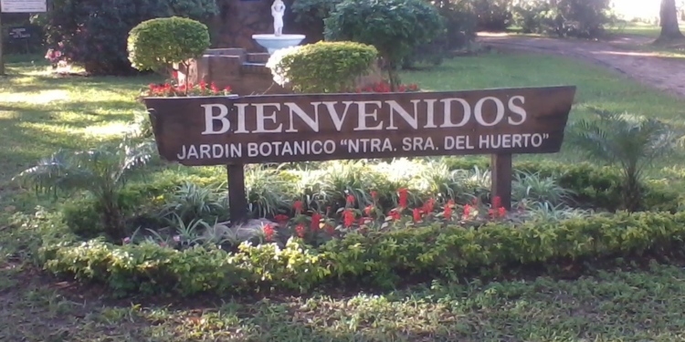 El Senasa se la toma en serio: quema cítricos de un botánico