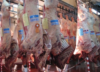 Brote rojo: se recuperan 40% las exportaciones de carne vacuna