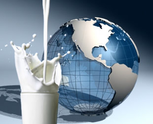 Las exportaciones lecheras tocaron niveles mínimos en diez años