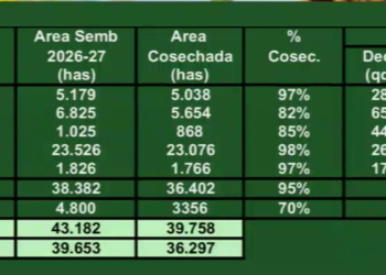 Aseguran que en 10 años, la cosecha llegará a 160 millones de toneladas