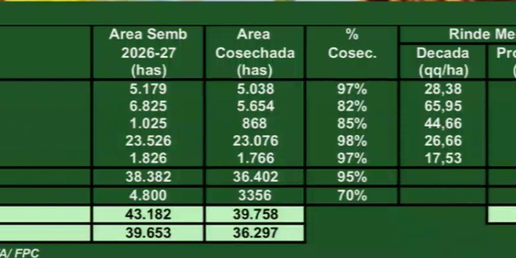 Aseguran que en 10 años, la cosecha llegará a 160 millones de toneladas