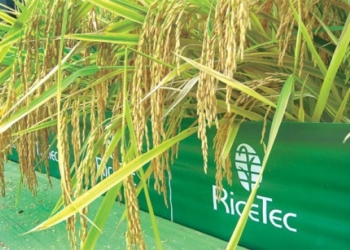 Una arrocera líder se retira del país