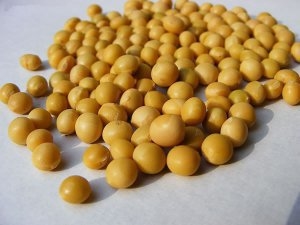 Semillas: revelan negociaciones para regular el “uso propio oneroso”