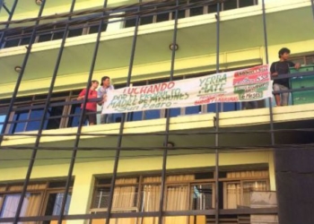 Yerba: la producción cae 50% pero igual no se paga el precio oficial