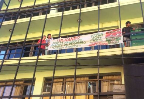 Yerba: la producción cae 50% pero igual no se paga el precio oficial