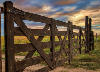 Una pregunta a Mariano Maurette: ¿arrendamientos se alargan por ley?