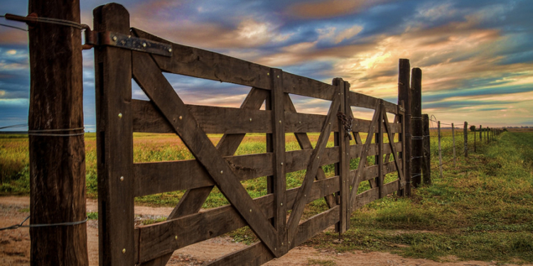 Una pregunta a Mariano Maurette: ¿arrendamientos se alargan por ley?
