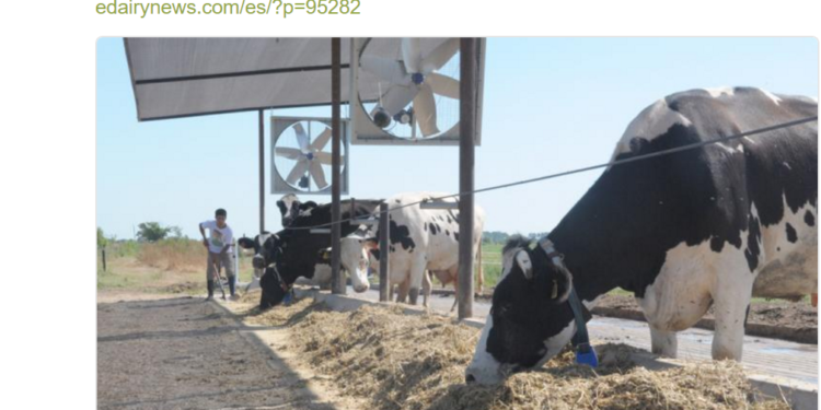 Milagroso: hay rastros de vida en el centro genético Néstor Kirchner