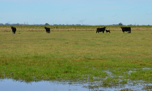 El drama de las lluvias en Corrientes